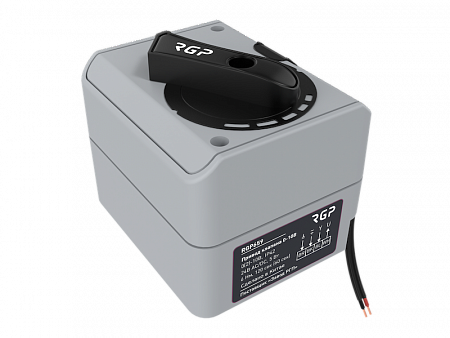 Электропривод для поворотных регулирующих клапанов фото в Инженерном центре РУБИКОН